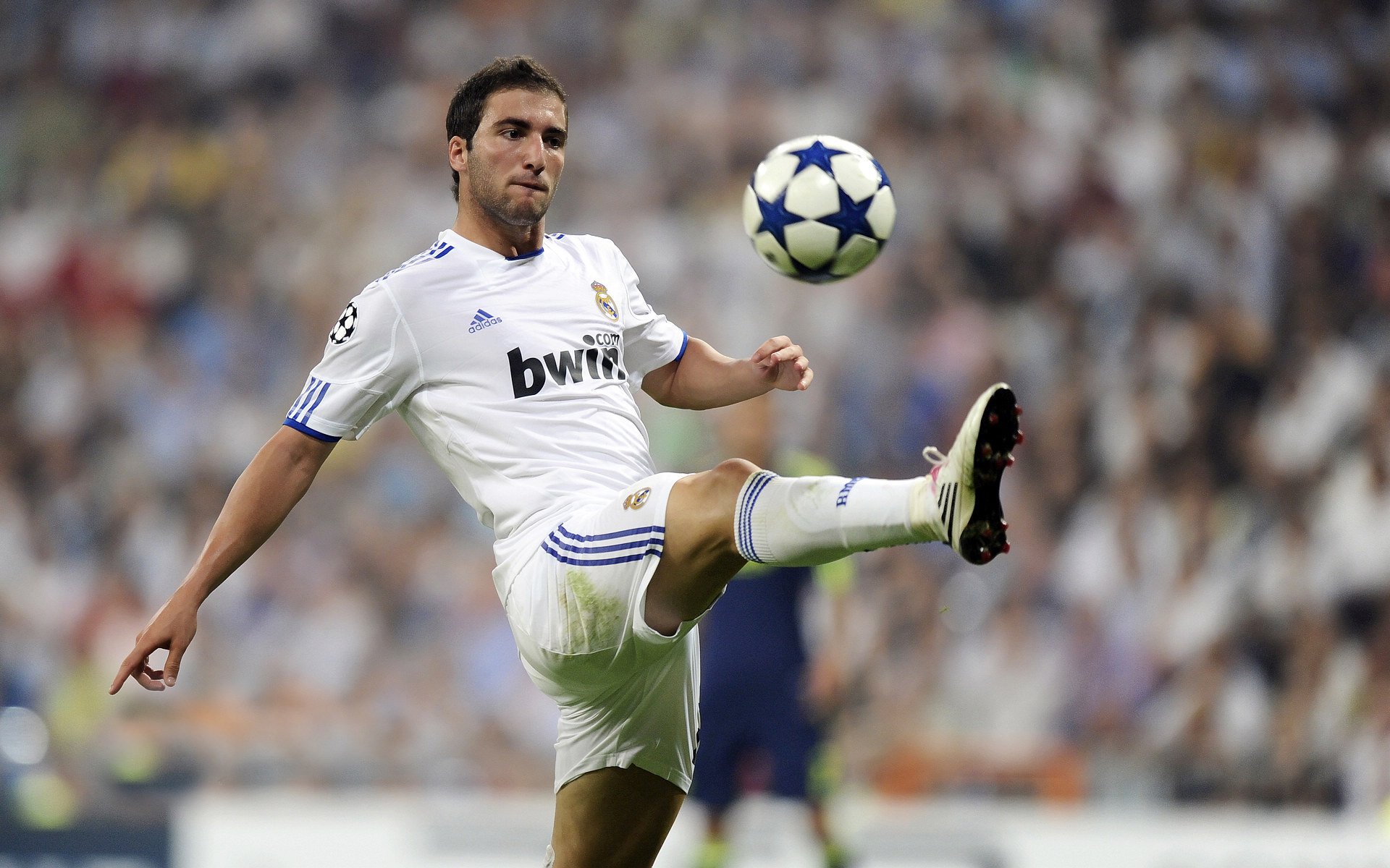 东盟城市半程马拉松巡回赛 曼谷站在清晨闷热中开跑